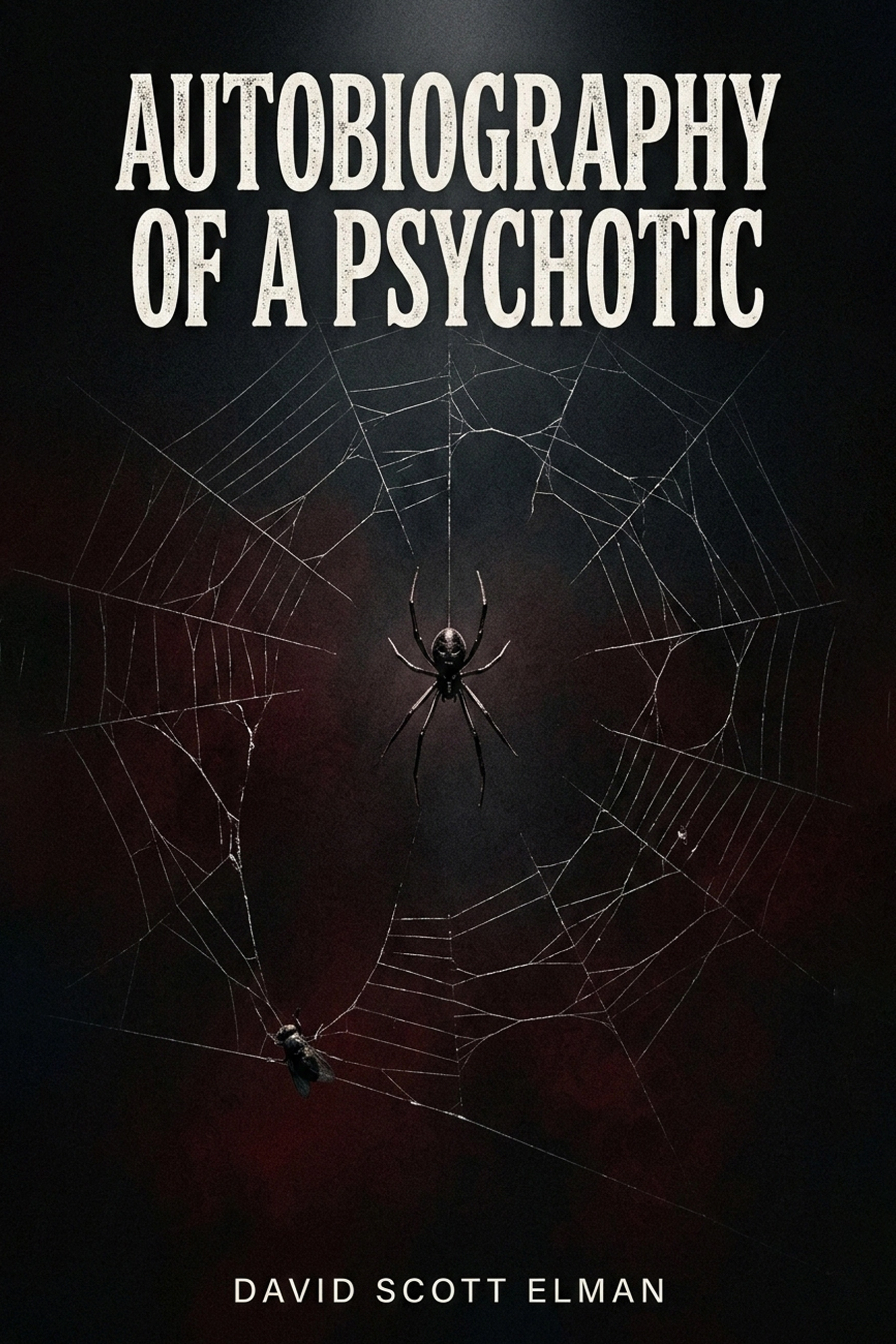 Cover of Autobiography of a Psychotic